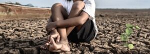 Conoce aquí los efectos directos e indirectos para la salud por el cambio climático.